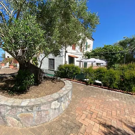 La Casa Degli Ulivi Appartement Palinuro